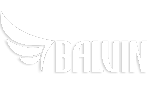balvin-logo-1-1.png
